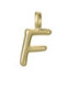 Motivo Colgante Letra F acero IP oro VICEROY FASHION - 15200M01012F