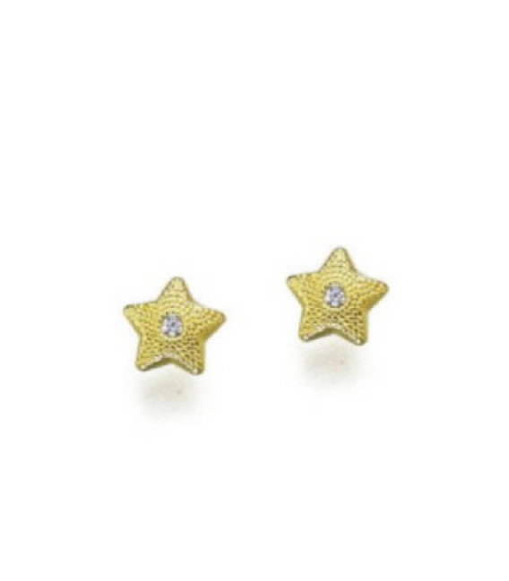 Pendientes Estrella y Circonita oro 18k - 2P.02985