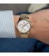 Reloj para Mujer Dorado Tommy Hilfiger Blake - 1782808