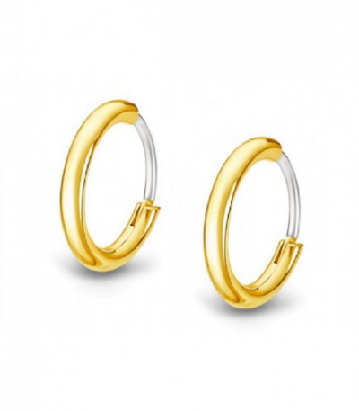 Pendientes Aro Acero IP Oro 14mm Mens Earrings LOTUS STYLE - LS2174-4/2