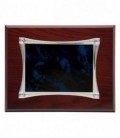 Placa de Homenaje Azul y Plateada - P-2082/2X