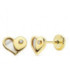 Pendientes Corazon Nacar y Circonita oro 18k - 20269